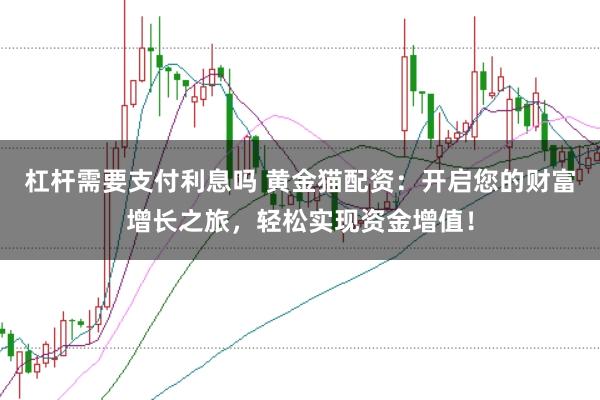 杠杆需要支付利息吗 黄金猫配资：开启您的财富增长之旅，轻松实现资金增值！