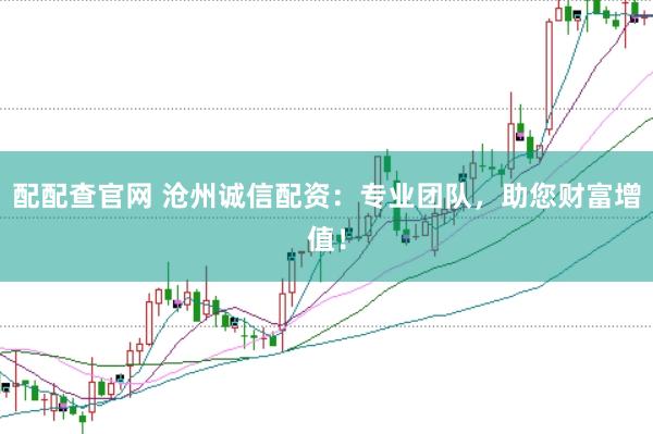 配配查官网 沧州诚信配资：专业团队，助您财富增值！