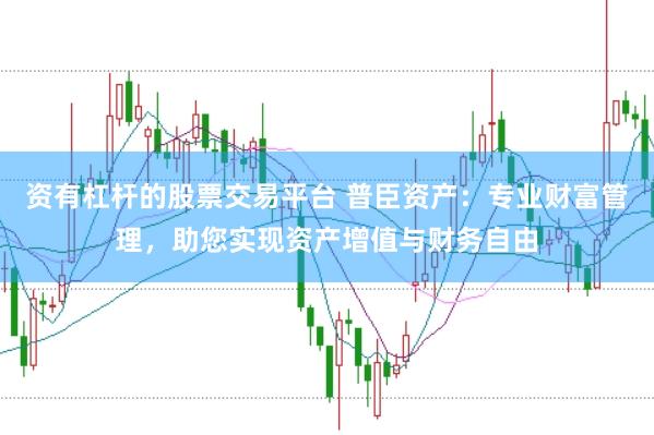 资有杠杆的股票交易平台 普臣资产：专业财富管理，助您实现资产增值与财务自由