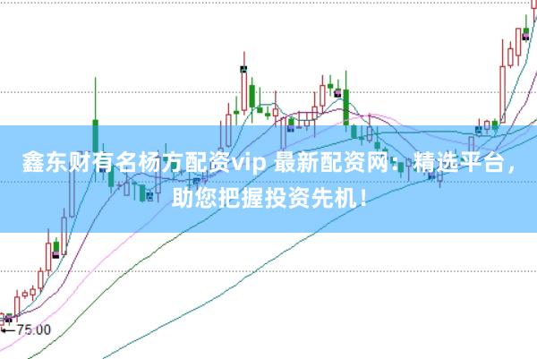 鑫东财有名杨方配资vip 最新配资网：精选平台，助您把握投资先机！