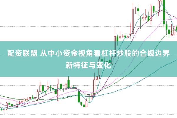配资联盟 从中小资金视角看杠杆炒股的合规边界新特征与变化
