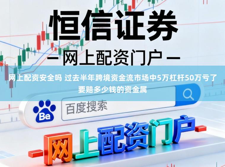 网上配资安全吗 过去半年跨境资金流市场中5万杠杆50万亏了要赔多少钱的资金属