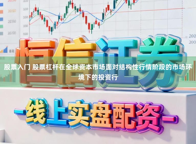 股票入门 股票杠杆在全球资本市场面对结构性行情阶段的市场环境下的投资行